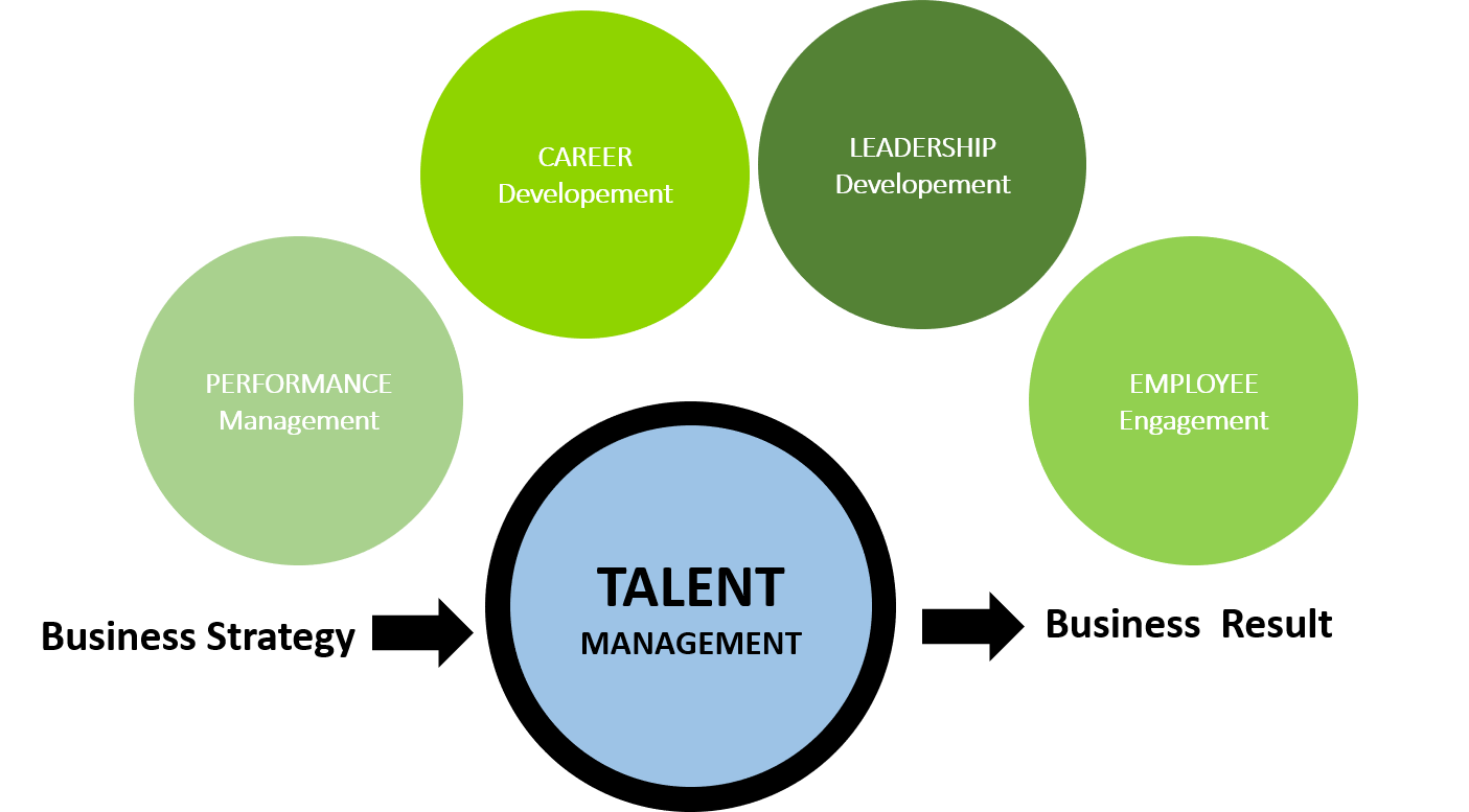Gest&atilde;o de Talentos